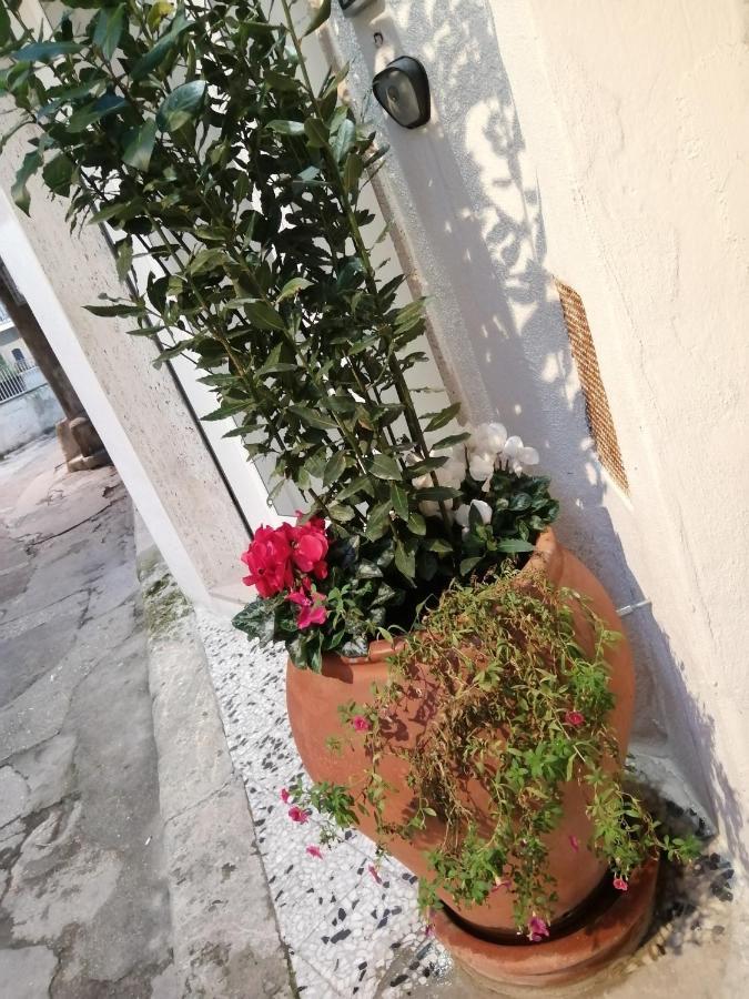 Relax Santa Cecilia Lejlighed Gravina in Puglia Eksteriør billede